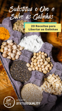Imagem da notícia Receitas Inovadoras Sem Ovos com Sabor e Saúde Usando Alternativas Sustentáveis